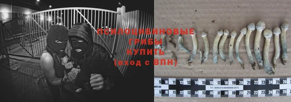 крисы Белоозёрский