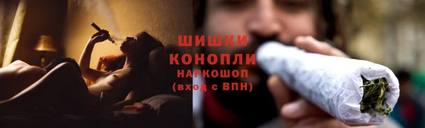 крисы Белоозёрский