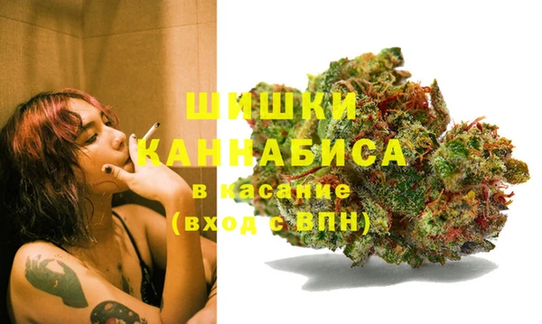крисы Белоозёрский