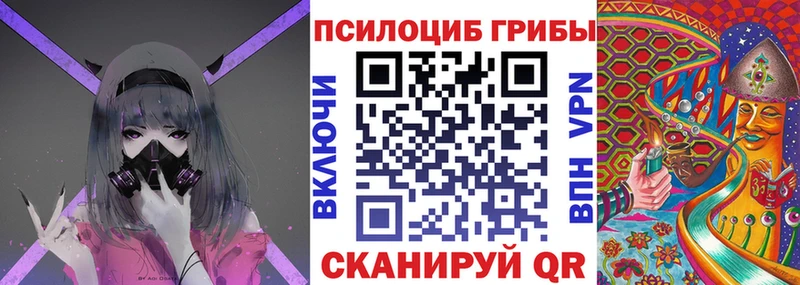 Псилоцибиновые грибы мицелий  где купить наркоту  Горняк 
